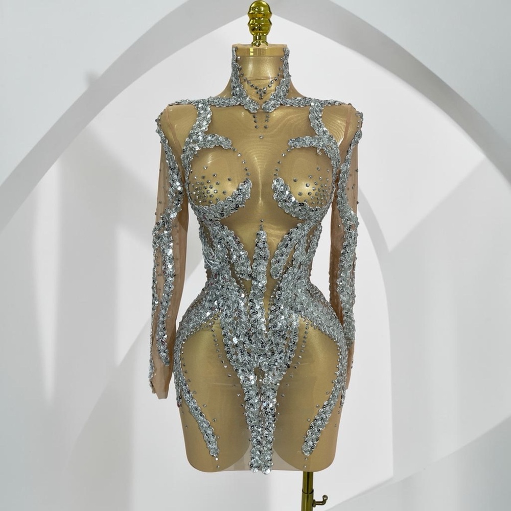 Elegant Sexy Nude Sheer Long Sleeve Dress with Silver Sequin Appliqué
